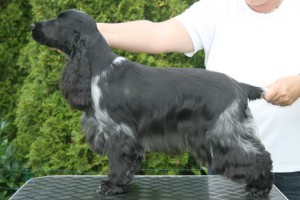 Martha1